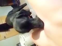 Cute dog licking her pussy
