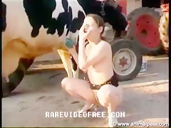 Cow Sex