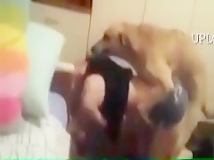 dog humping italian girl