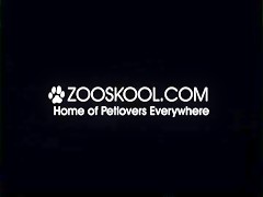 Zooskool - KnottyKnotty - Short and Sweet