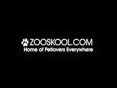 Zooskool - Stray X - The Record - part 6