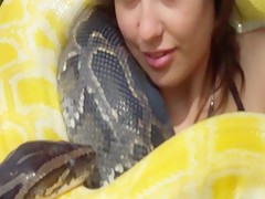 big snakes