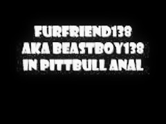 Beastboy in pittbull anal