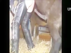 Bestiality horse sex