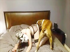 blonde and boxer fuck