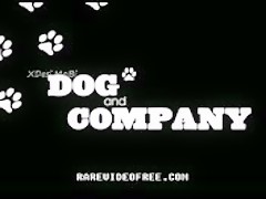 Dog and company