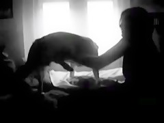 Frau masturbiert Hund