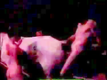 Mare Orgy - Men goat and mare fuck orgy - Bestialzoo Net - Zoo videos