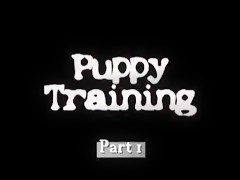 Puppy training part 1