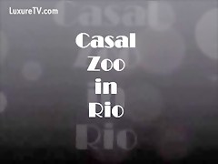 Red Hayr Casal zoo in Rio
