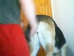 Un polvo rapido con mi perra