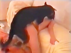 Dog fucks girl - xxx Animal videos HD Porn