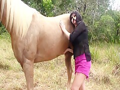 First horse meeting Vixen
