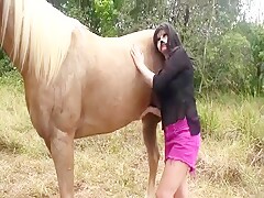 Vixen first horse meeting