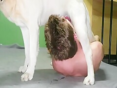 Man blowjob dog cock
