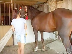 Monikaxxx feeding horse