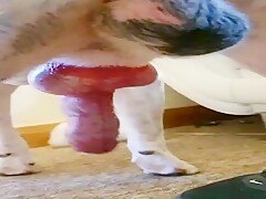 She loves this cock
