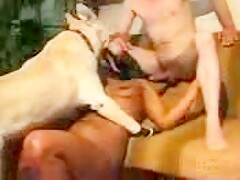 Old time bestiality couple sex