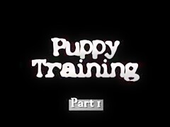 Manny and Tess - Puppy Training