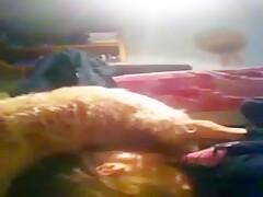 Teen sucking her small dogs cock in bedroom
