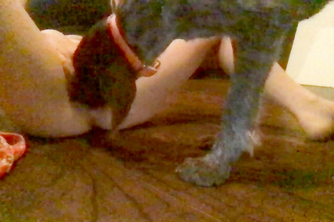 Teen bends over and lets family dog lick her - Zoofilia Videos - BestialZoo