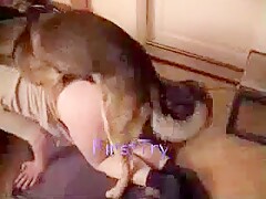 Wife dog fuck