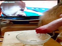 My dog 1