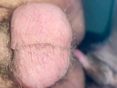 My dog fucking me