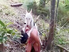 Na Floresta com o Pitbull