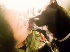 KOREA traditional dog JINDO VS hooman