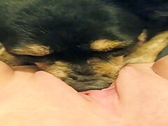 Cachorrinho enfia o fucinho na buceta pra língua entrar