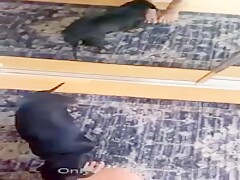 Cute girl fun with dog