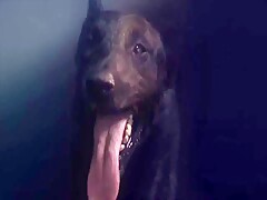 Coletânea de Zoofilia 5