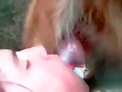 Quck Blow