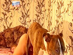 Silvia dog sex 1