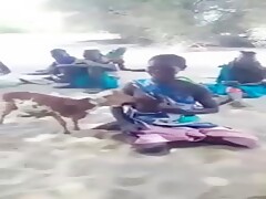 Woman Breastfeeding a Lamb 1