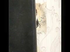 Мой новый ТРЕК №- 2  !!!!