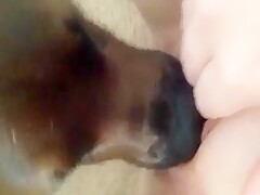 yummy lick