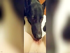 Даёт полизать