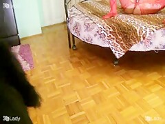 ВДУЛ