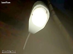Zoofilia