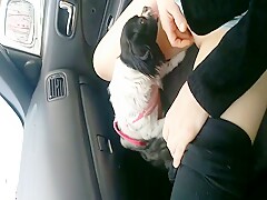 В машине