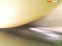 young mare fisting pussy and anal